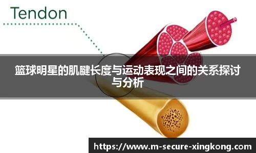 xingkongsports